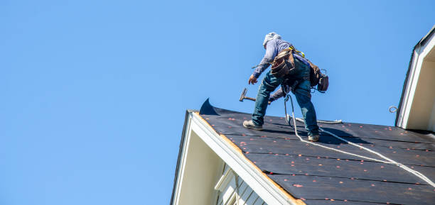 Professional Roofing Contractor in Williamstown, KY
